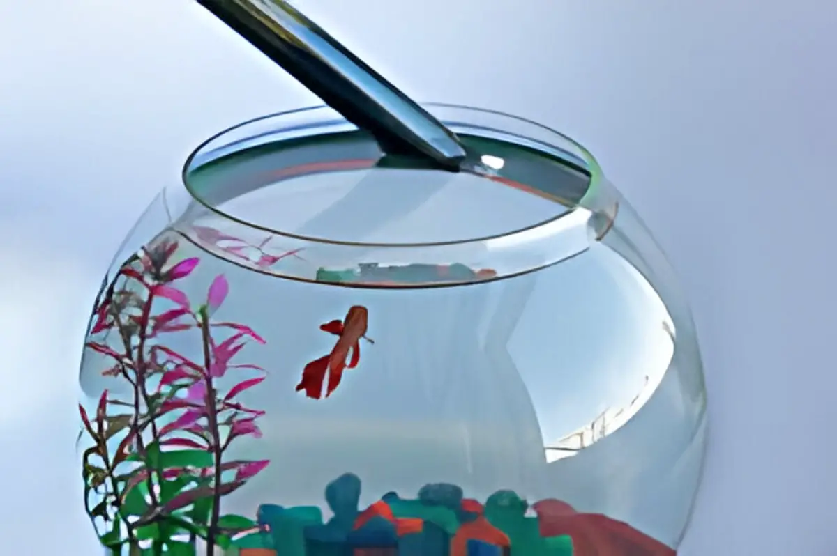 Aquarium Temperature — Heater poking into a small fish bowl with a fish in it.