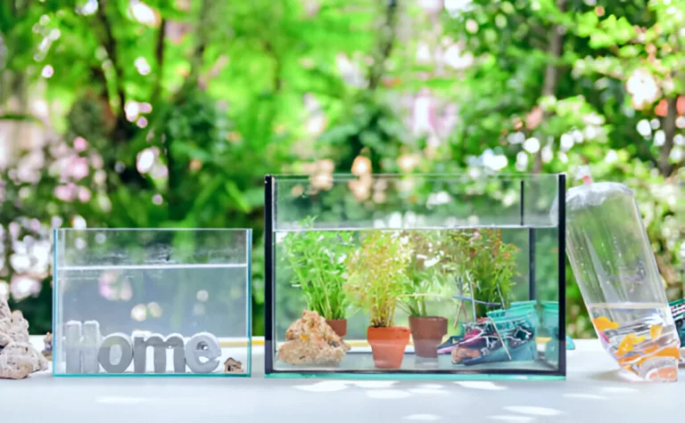 Acclimate New Fish — A plastic bag with fish and two tanks with a green and vibrant background.