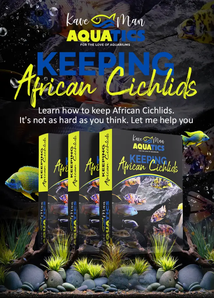 Keeping African Cichlids Online Video Course