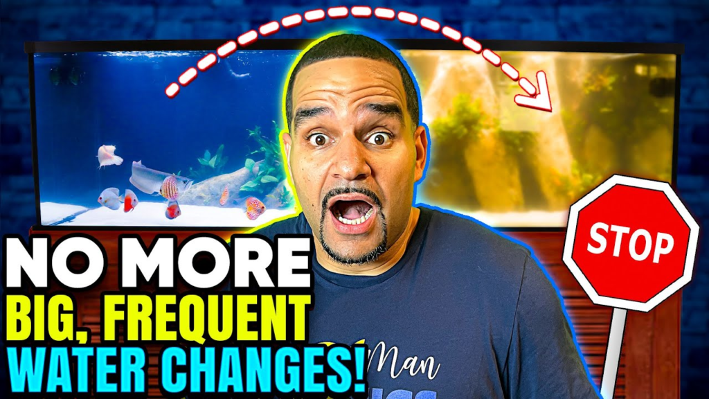 Freshwater Refugium — How a REFUGIUM Can Help! (No Sump? No Problem!) YouTube video thumbnail from KaveMan Aquatics