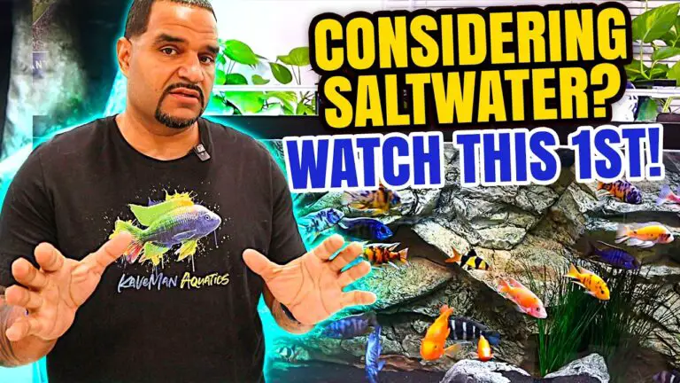 KaveMan Aquatics YouTube thumbnail for video “Could This Help You Switch To Saltwater Tank Keeping?”