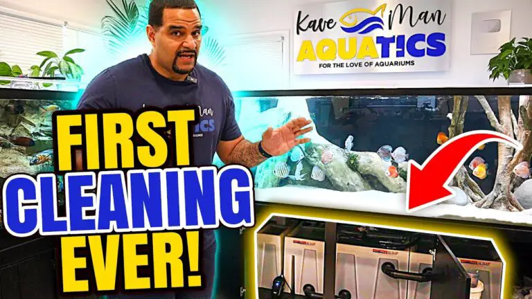 The Best Way to Clean an Aquarium Sump