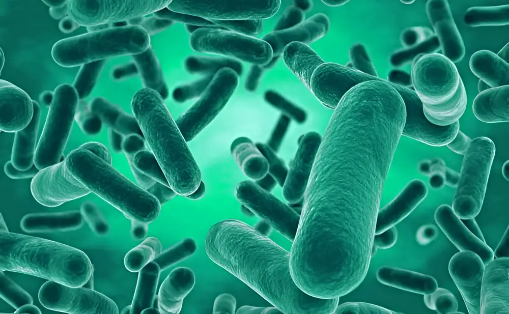 Beneficial Bacteria in Aquariums — Closeup 3D rendering of Nitrobacter bacteria. Credit: CHIARI_VFX