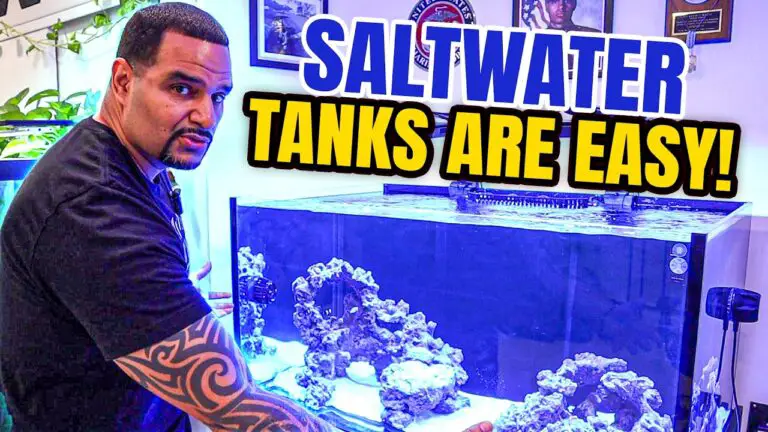 Switch to Saltwater Tanks — KaveMan Aquatics YouTube video thumbnail for Switch to Saltwater | Easier Than You Think! (Only 3 Steps)