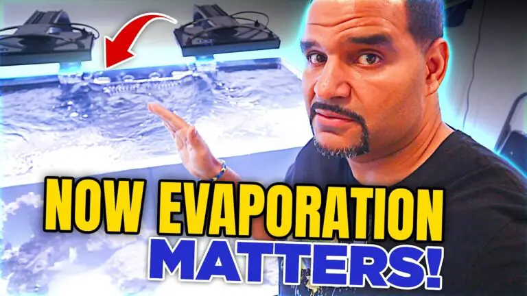 KaveMan Aquatics YouTube video thumbnail for Saltwater Aquarium Evaporation - More Important Than Freshwater!