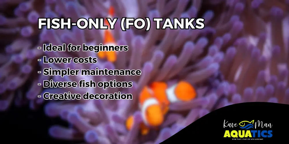 Types of Saltwater Tanks — 1. Fish-Only (FO)