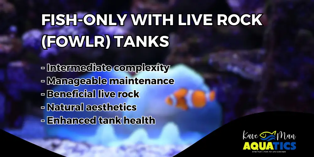 Types of Saltwater Tanks — 2. Fish-Only With Live Rock (FOWLR)