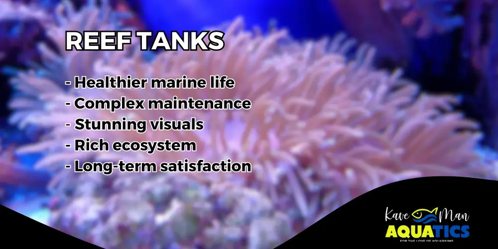 Types of Saltwater Tanks — 3. Reef