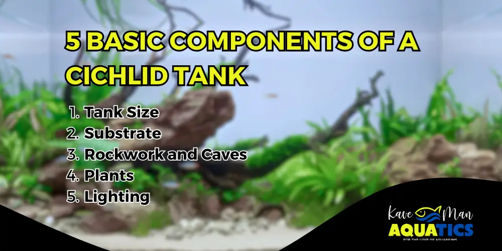 Cichlid Tank Setup Ideas — 5 Basic Components of a Cichlid Tank