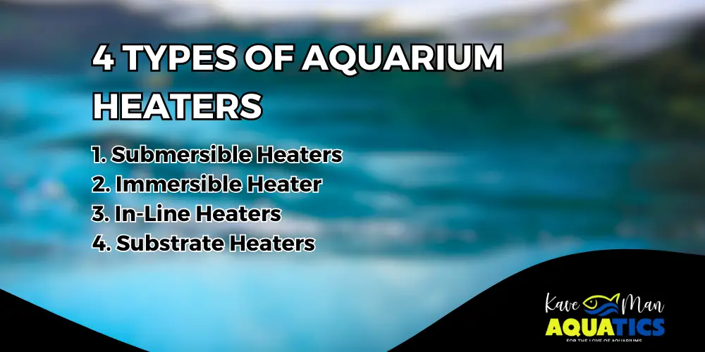 Aquarium Heater Guide — The 4 types of aquarium heaters summarized