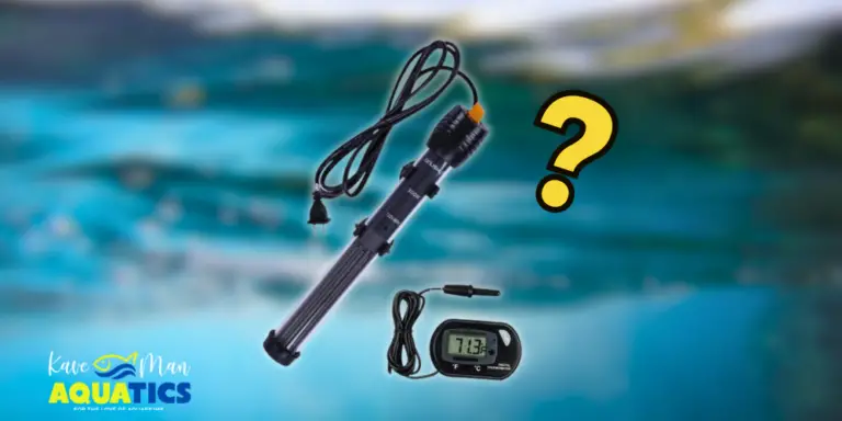 Aquarium Heater Guide — A submersible heater under water