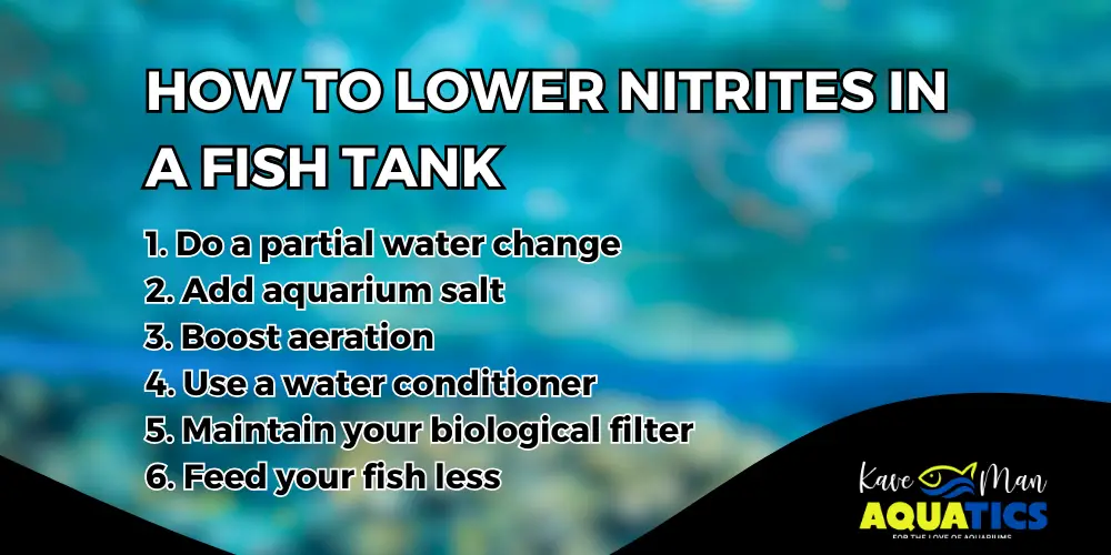 How to Lower Nitrites in a Fish Tank — 6 Tips from KaveMan Aquatics