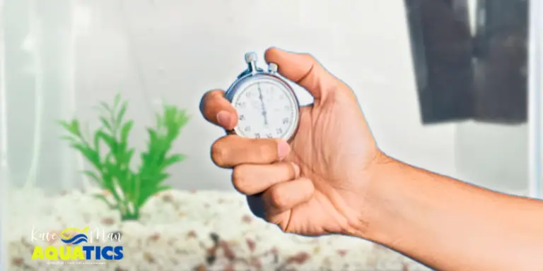 How to Cycle a Fish Tank — An empty tank behind a man holding a timer