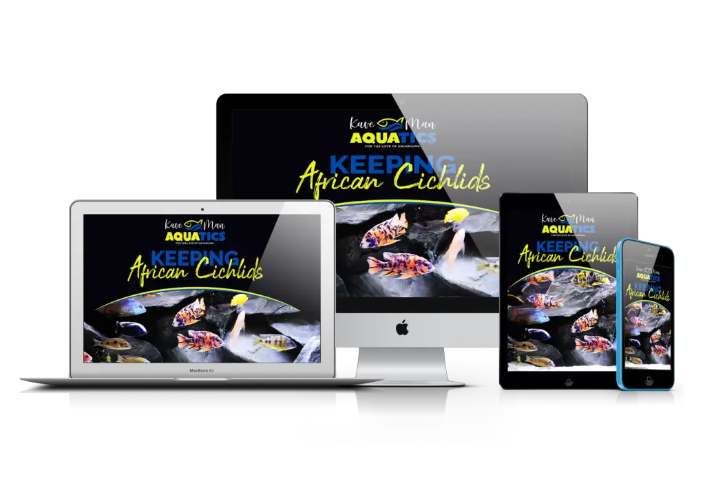 Keeping African Cichlids Online Course