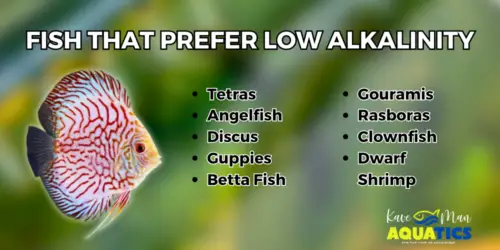 How to Lower Alkalinity in a Fish Tank: Simple Methods for a Balanced ...