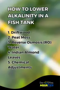 How to Lower Alkalinity in a Fish Tank: Simple Methods for a Balanced ...