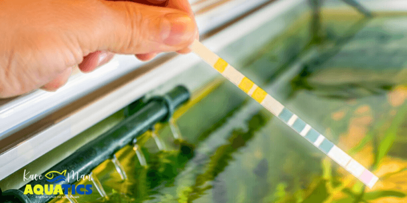 Aquarium Surface Agitation and Aeration (6 Simple Methods)