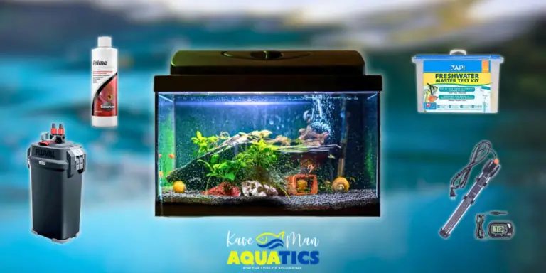 Must-Have Fish Tank Accessories — Fish tank with a blue background and a bunch of fish tank accessories around it by KaveMan Aquatics