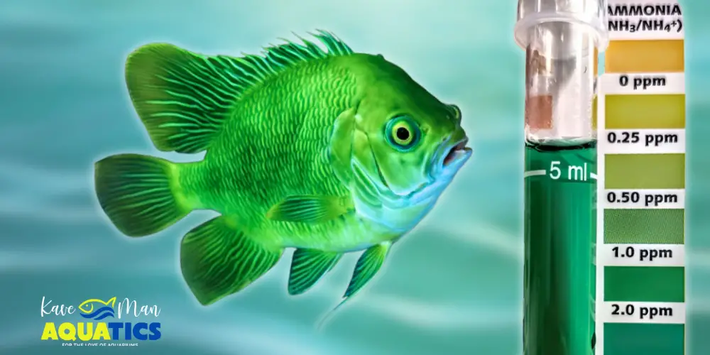 Reduce Ammonia in a Fish Tank — Green unhappy fish looking at a high ammonia test kit by KaveMan Aquatics