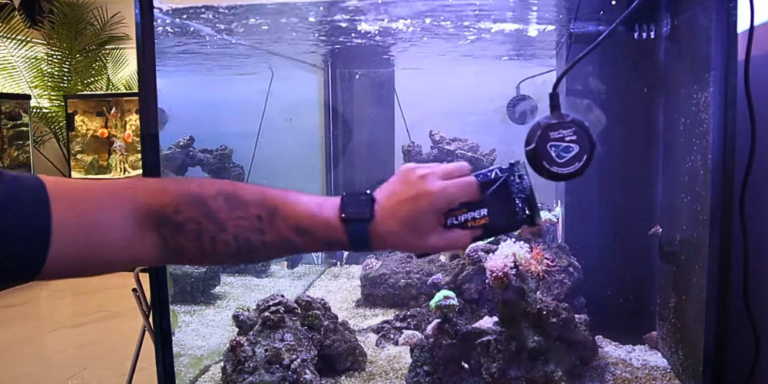 Image showcasing Saltwater Tank Glass Cleaner: 10 Best Tools for a Pristine Reef (2026 ...