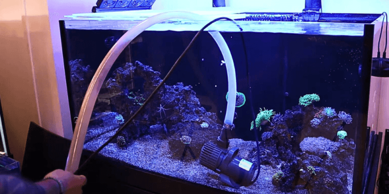 Stunning How To Develop A Saltwater Reef Tank Water Change Schedule image