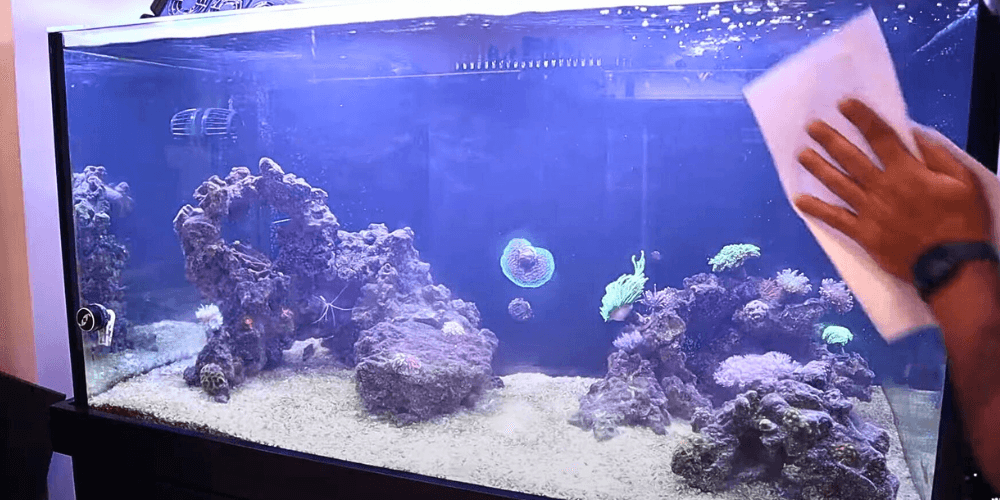 Curated visual reference: Picture Idea: How To Do A Saltwater Tank Water Change In 10