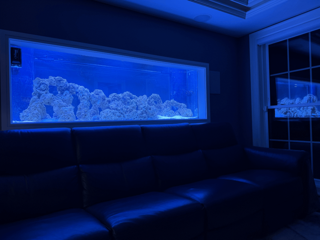 In-Wall 210G Saltwater Reef Aquarium Installation
