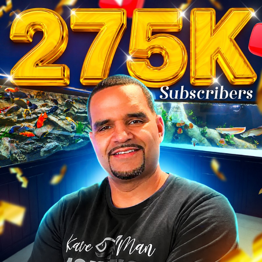 275K subs