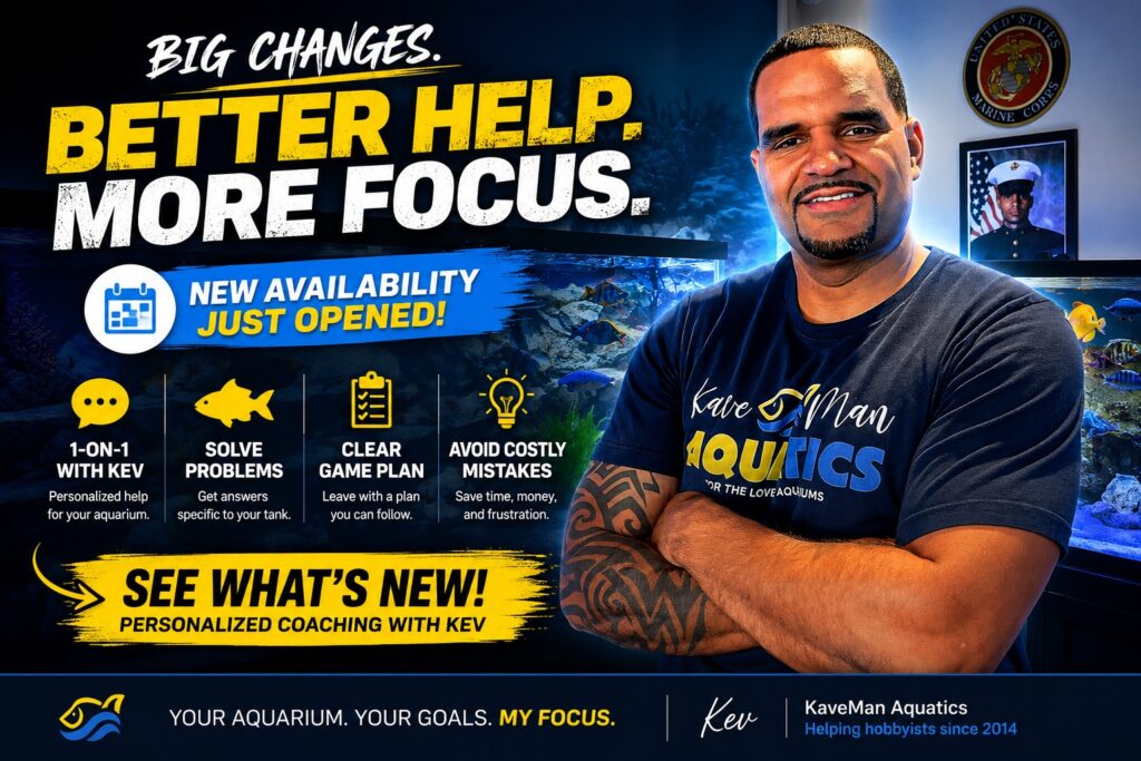 3 KaveMan Private Aquarium Coaching