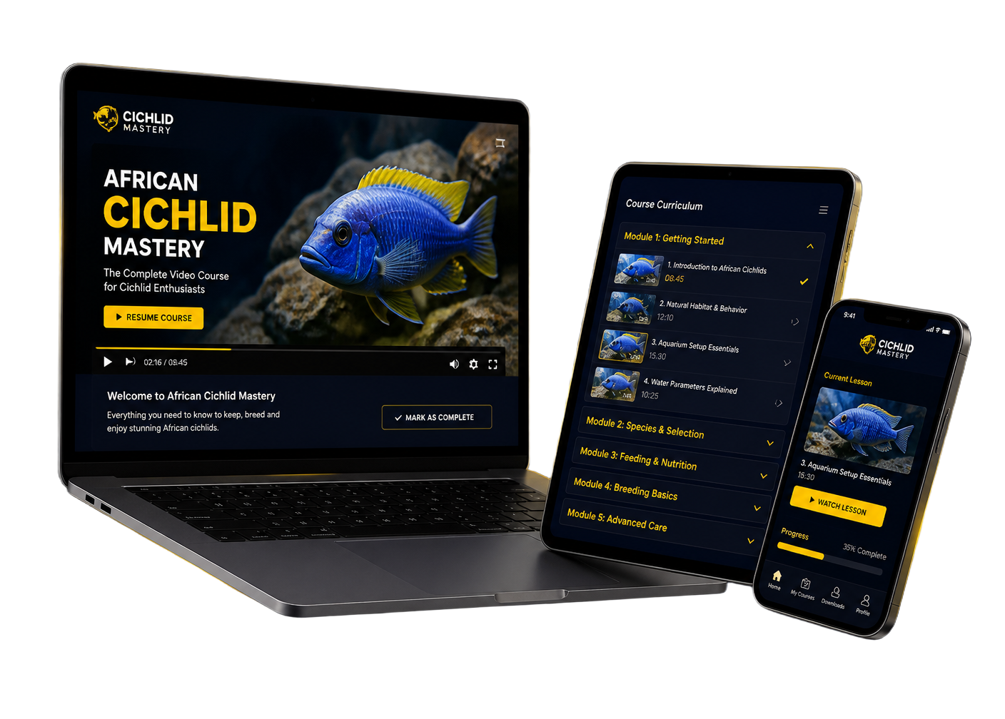 African Cichlids Course