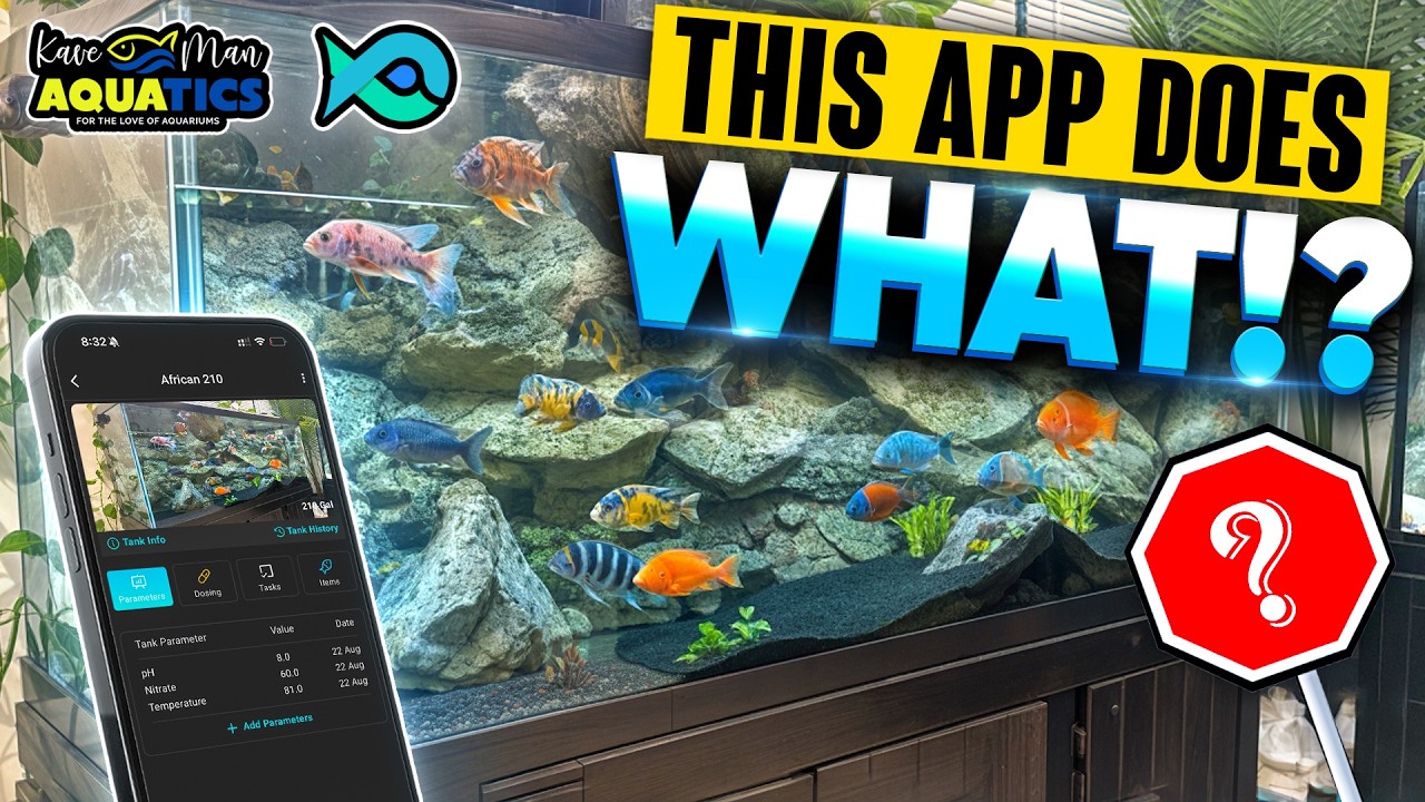 KaveMan Aquatics | Aquarium Husbandry | Tips and Advice 5 maxresdefault 1