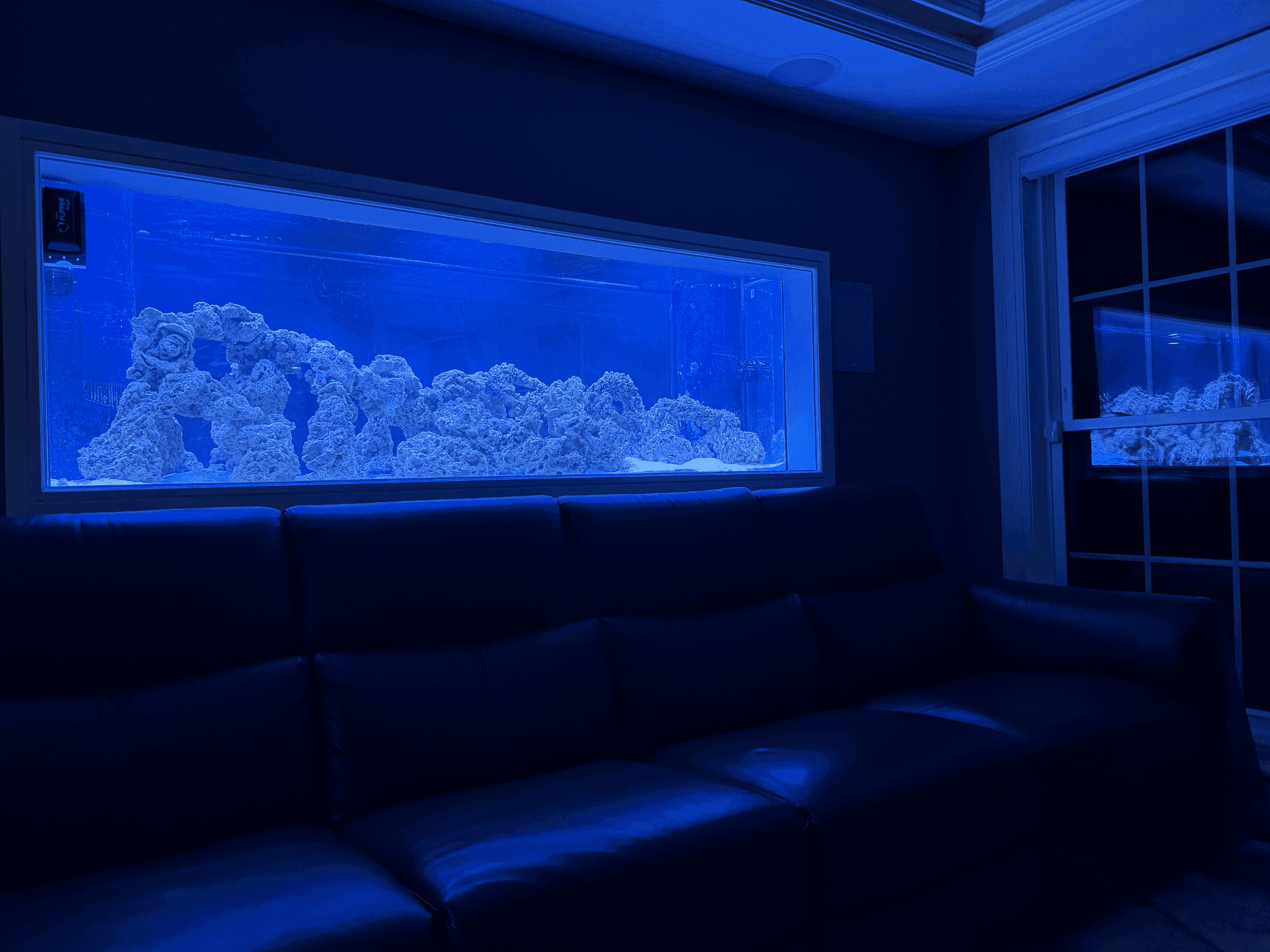 210G Reef Aquarium Installation